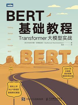 《BERT基础教程 Transformer大模型