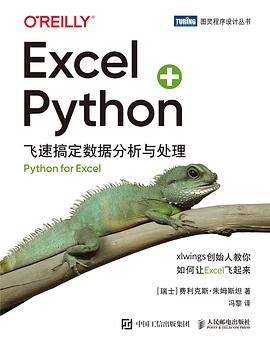 《Excel + Python：飞速搞定数据分析与处理》PDF完整版下载