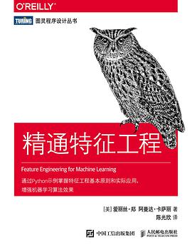 《精通特征工程》PDF完整版下载