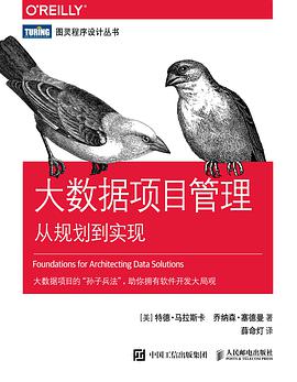 《大数据项目管理 从规划到实现》PDF完整版下载