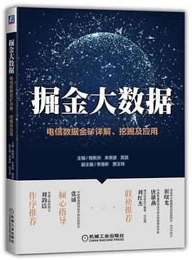 《掘金大数据 电信数据金矿详解、挖掘及应用》PDF完整版下载