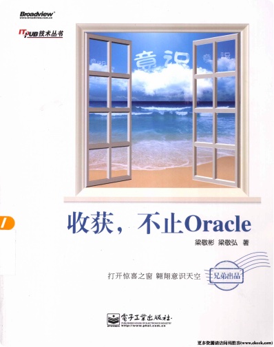 《收获,不止Oracle》PDF完整版下载