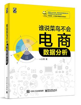 《谁说菜鸟不会电商数据分析》PDF完整版下载