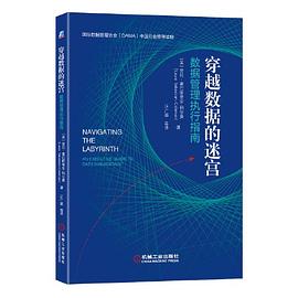 《穿越数据的迷宫：数据管理执行指南》PDF完整版下载