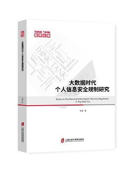 《大数据时代个人信息安全规制研究》PDF完整版下载