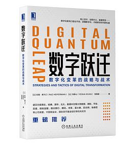 《数字跃迁 数字化变革的战略与战术》PDF完整版下载