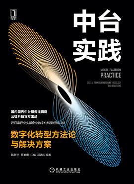 《中台实践 数字化转型方法论与解决方案》PDF完整版下载