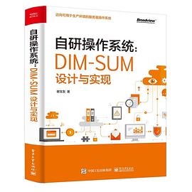 《自研操作系统：DIM-SUM设计与实现》PDF完整版下载