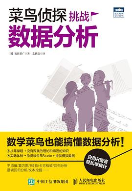 《菜鸟侦探挑战数据分析》PDF完整版下载