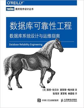 《数据库可靠性工程 数据库系统设计与运维指南》PDF完整版下载